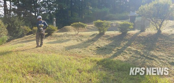 용인특례시가 고향사랑기부금 답례품으로 벌초대행 서비스를 마련했다