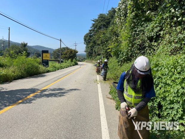 안성시, 추석맞이 주요 도로변 제초작업 실시