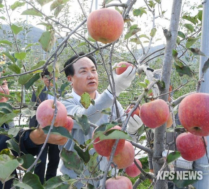 오산시, 자매도시 장수군서 ‘오산시민 장수 사과따기 체험행사’ 성황리 개최