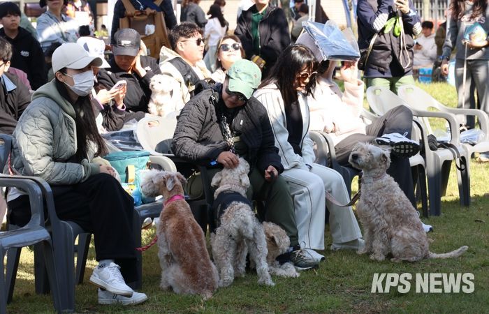 여러 종의 애견들이 주인들과 함께 휴식을 취하고 있다.
