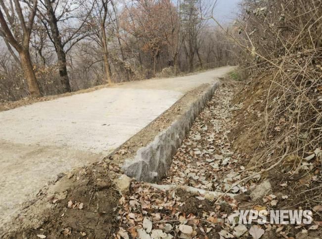 모현읍 왕산리 태교숲길 정비 완료 후 전경