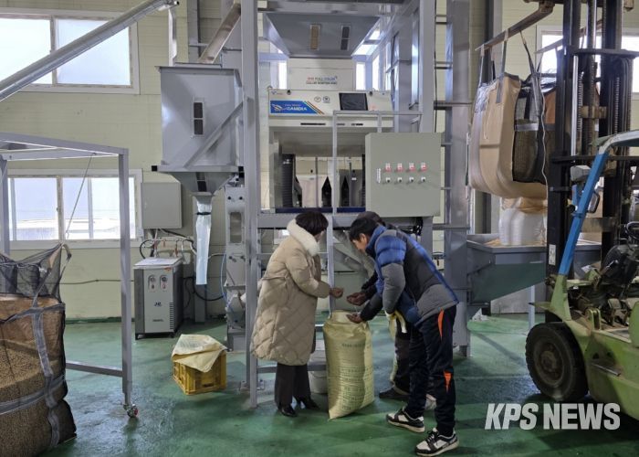 고품질 경기콩, 색채선별기로 품질과 효율 ‘두 마리 토끼’ 잡다