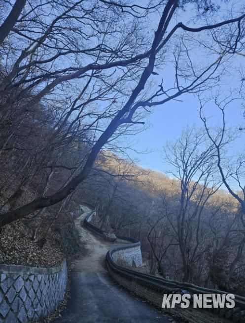 용인특례시가 석성산 숲길 정비사업을 진행한 현장 모습